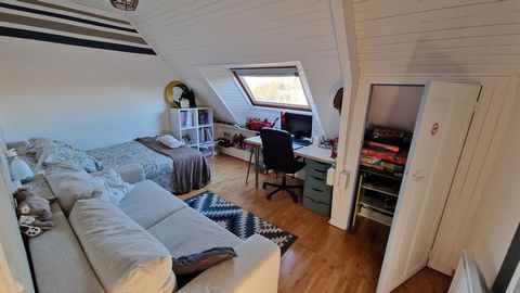 photo no. 12