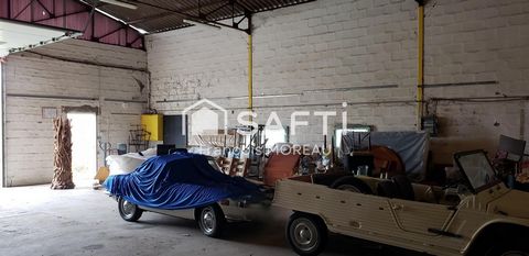 photo no. 6