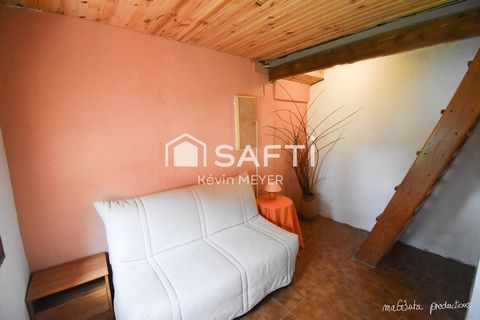 photo no. 10