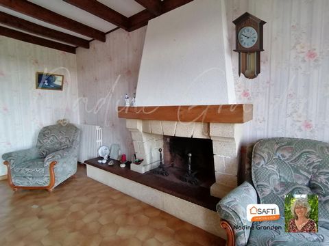 photo no. 11