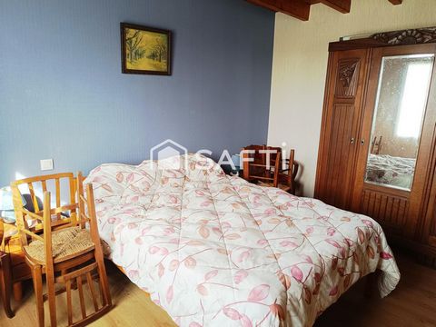 photo no. 12
