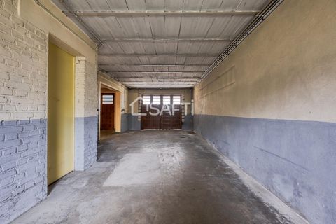 photo no. 16