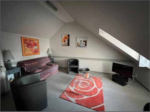 photo no. 11