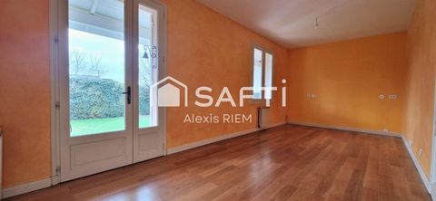 photo no. 12