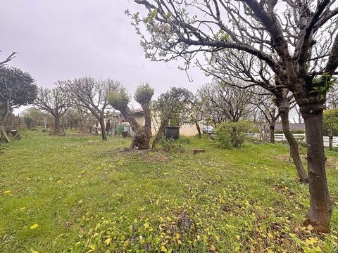 photo no. 6