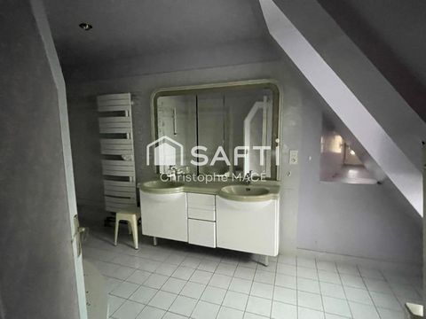 photo no. 6