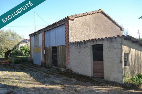 photo no. 3