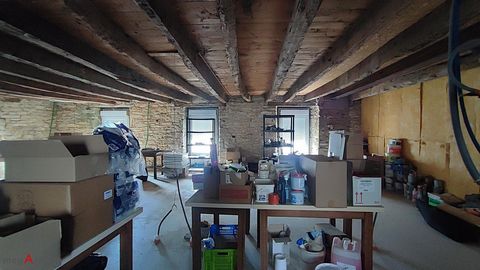 photo no. 12