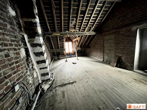 photo no. 7
