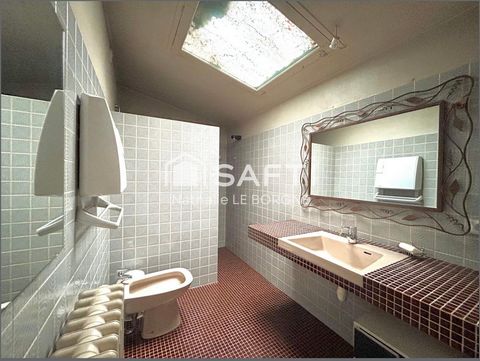 photo no. 12