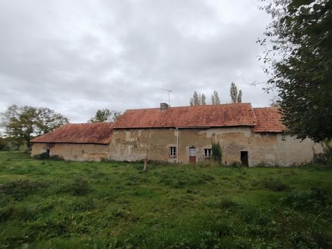 photo no. 7