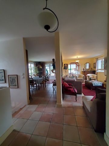 photo no. 17