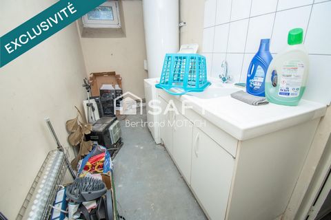 photo no. 7