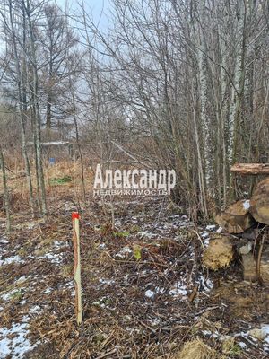 1702154 В самом сердце поселка Сосново, но одновременно в тихом и уединенном месте, предлагается к покупке прекрасно обустроенный земельный участок площадью 6,6 сотки. Благодаря удачному расположению участка, солнечный свет будет радовать вас целый д...