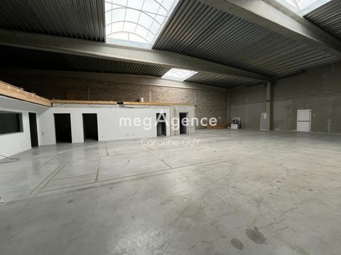 photo no. 1
