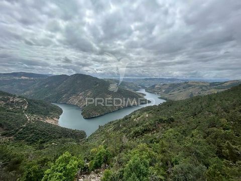 Moradia em banda, com 120m2, área util. Inserida numa aldeia dentro do Parque Natural do Tua. Excelente negócio para quem procura casa para habitação própria ou segunda habitação para férias. Não perca mais tempo e agende já uma visita para conhecer ...