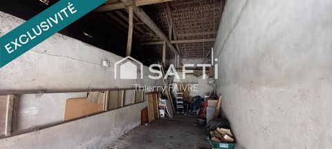 photo no. 15