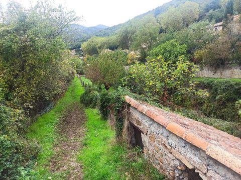 photo no. 16