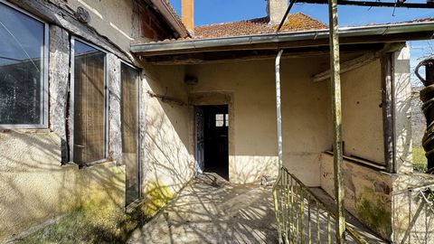 photo no. 15