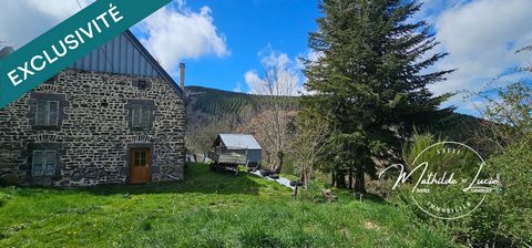 photo no. 1
