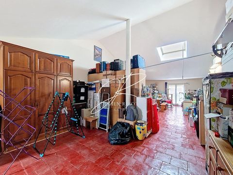 photo no. 6