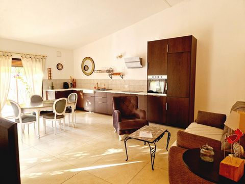 photo no. 3