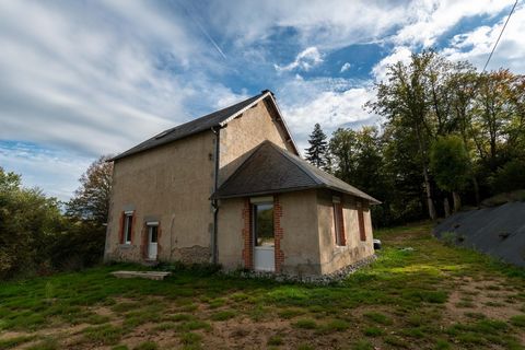 photo no. 6