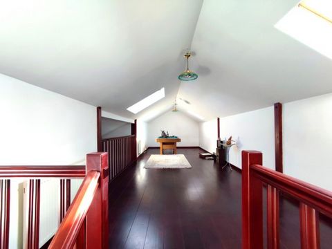 photo no. 10