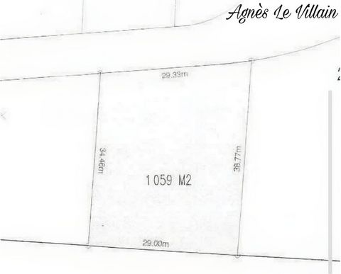 photo no. 1