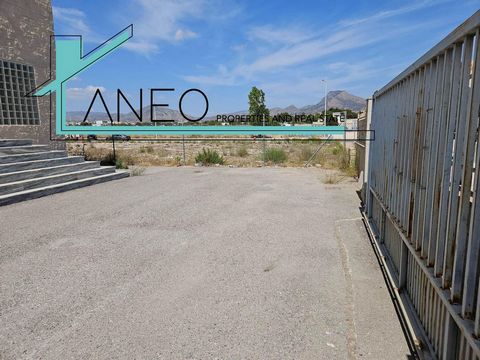 Industrial warehouse with loading dock and fenced yard with metal gate.The warehouse is located less than 20 minutes from Alicante, Elche, Torrellano, Monforte,..etc.Machinery and all furniture,... etc. are not included in the price unless agreed upo...