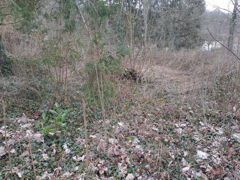 photo no. 2