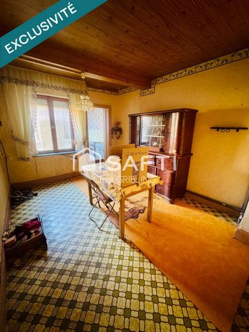 photo no. 10
