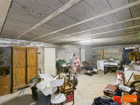 photo no. 13