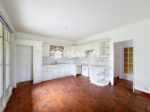 photo no. 8