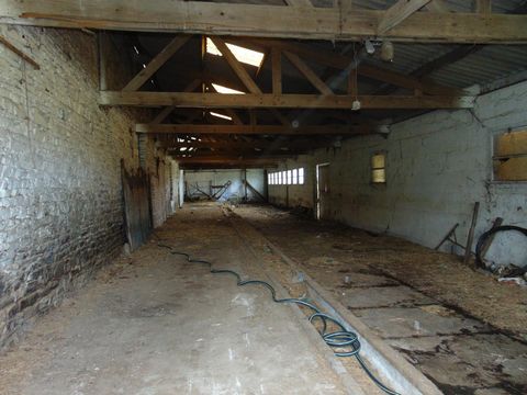photo no. 9