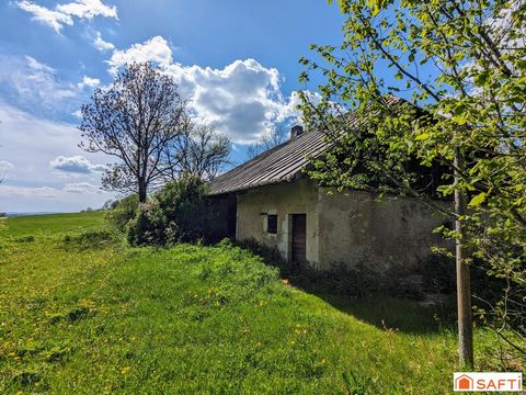 photo no. 2