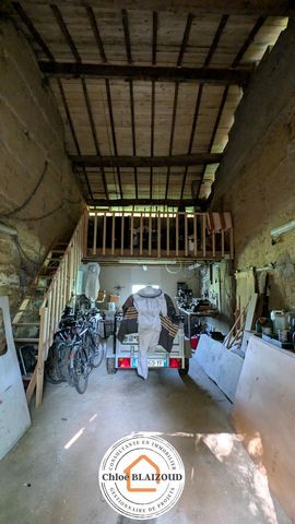 photo no. 16