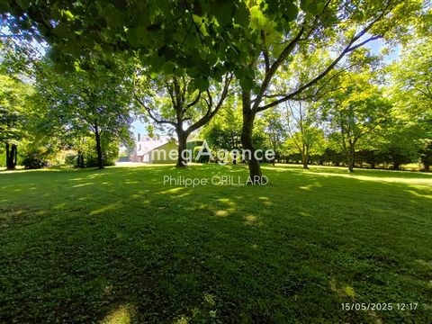 photo no. 15
