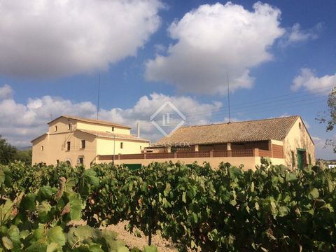 Spectacular listed masia dating back to the 17th century, located in the Alt Penedés area, just 30 minutes from Sitges. The estate includes 15 hectares of private land with D.O cava and Penedés vineyards. It consists of the main farm house and severa...