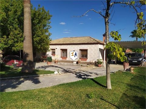 This charming Chalet is located in a residential area a few minutes from Puente Genil, in the province of Córdoba, in Andalusia. In Puente Genil you can find all kinds of establishments, schools, restaurants, large supermarkets, train station, shops,...