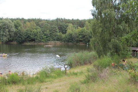 The Heidesee holiday park with an attached campsite is located in the middle of a forest area on the Lüneburg Heath. The comfortably furnished holiday homes have a terrace with a lawn where your loved ones can play and run around to their heart's con...
