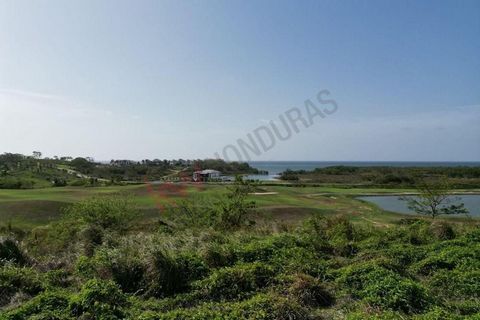 This remarkable lot offers captivating ocean views to the north shore and the vibrant reef. Spanning 0.169 acres, it's a perfect canvas for your dream retreat. Imagine waking up to the ocean views and golden sunsets every day. Dive into the renowned ...