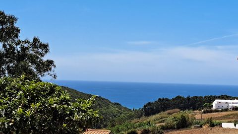 If you are looking for a unique opportunity to build a house with a stunning sea view we have the perfect option for you. We present a land with a total implantation area of 275m2, located in Atalaia - Lourinhã. It is possible to build one or two hou...