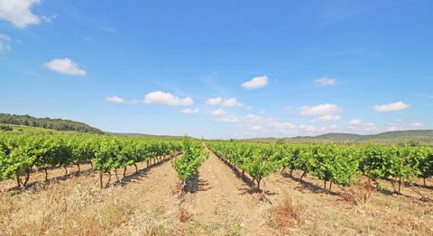 In the heart of the Languedoc-Roussillon region, wine estate of 36 HA including 25 HA of vines on three exceptional territories, made up of a high quality set: wine cellar of around 1600 m2, barrel cellar, sales cellar, dining room seminar, tasting r...