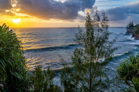 Awake to sunrises peering through crashing waves against the cliffside of your oceanfront botanical garden. A painters dream, this private oasis features over half an acre of tropical plantings, pathways and water features. It's residence is equally ...