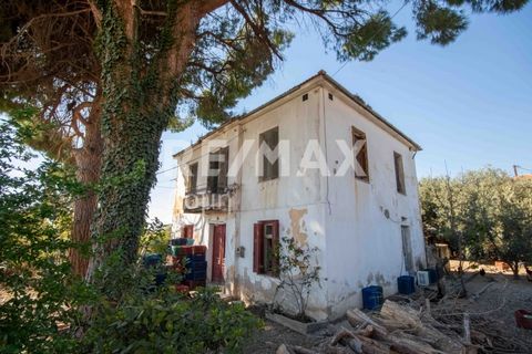 Real estate consultant - Eleni Karagianni. Available for sale exclusively in Ano Lechoia, an old stone detached house with a total area of 160 sq.m. on a plot of 1350 sq.m. it consists of two levels. The lower level consists of a hall and four rooms....