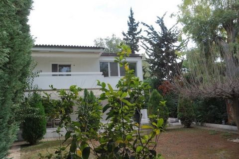 DETACHED OFFICE / HOUSE IN VOULA BUILT: 1989 REFITTED TO BECOME AN OFFICE: 2009 BUILT AREA: 339sqm OTHER AREAS: 38sqm Basement garage for 3 cars, & storeroom LEVELS: 3 , Ground floor / 1st Floor / Basement DESCRIPTION Ground Floor There are 2 entranc...