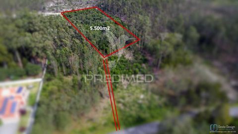 Green land with high profitability potential with an area of 5500m2. Detail and guarantee of profitability, provided by cutting down eucalyptus and pine trees and making a new plantation, generating revenue and lasting profitability with its sale. Ac...