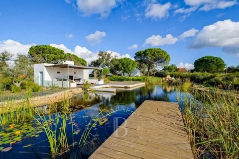 Propriété située entre Grândola et Melides, comprenant une villa de plain-pied avec 3 chambres en-suite et deux appartements d'invités indépendants avec une chambre chacun. Parfaitement située dans la campagne, elle a fait l'objet d'une rénovation ex...