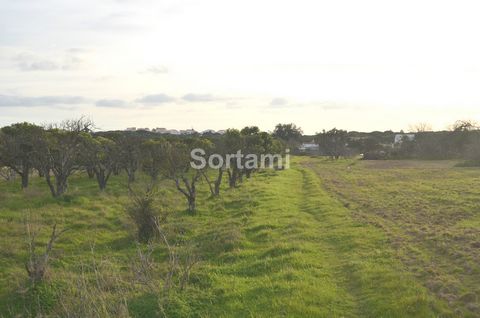 Plot of rustic land in Albufeira Excellent opportunity, this land has a quite considerable area, located in the area of Vale Carro. With a total area of 7600m2, it has excellent access, with two paved roads and situated very close to a residential ar...